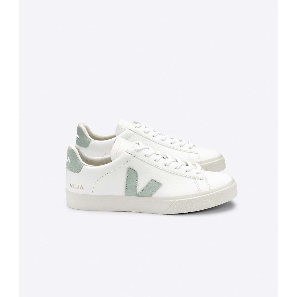 Men\'s Veja CAMPO CHROMEFREE Low Tops Sneakers White/Mint | SG 295RVD